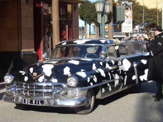 auto cruella
