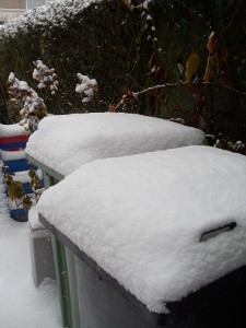 sneeuw