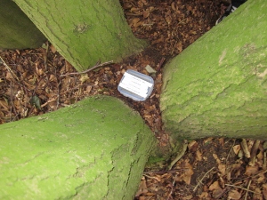 cache