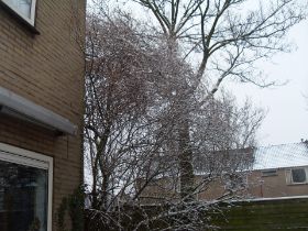 SDC14275.JPG
