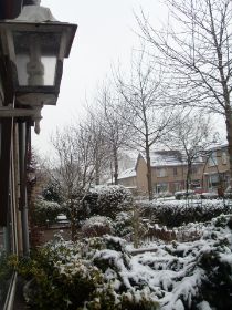 SDC14278.JPG