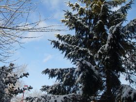 SDC14284_1024x680.JPG